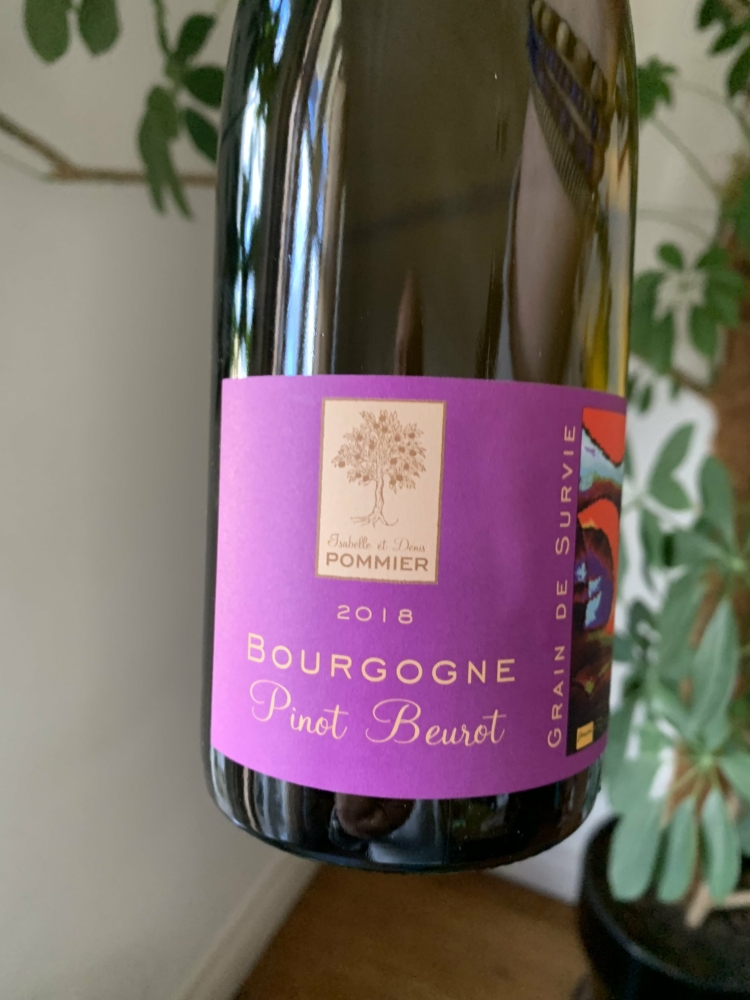 Isabelle POMMIER Pinot Beurot