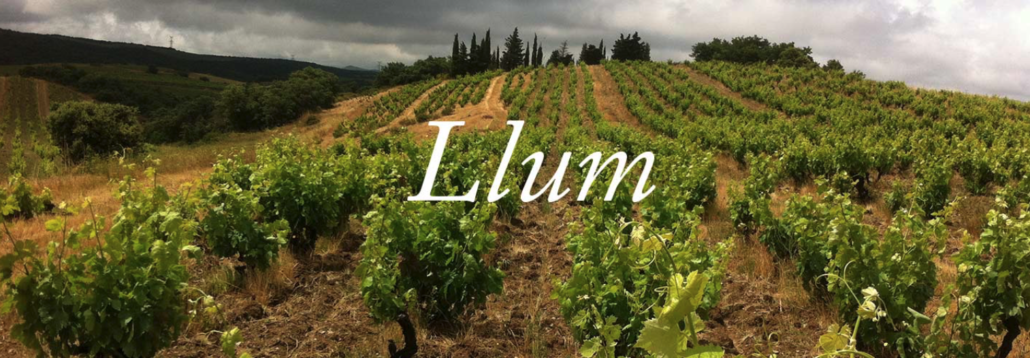 ROC DES ANGES Llum