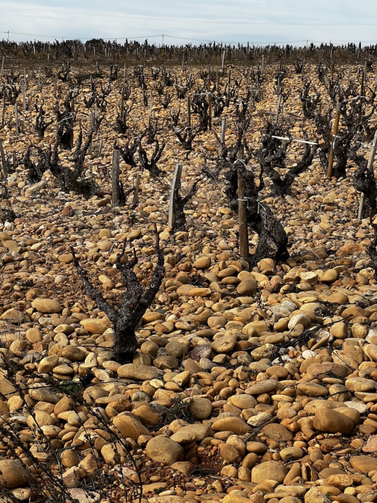 Chateauneuf du Pape Clos du Jas