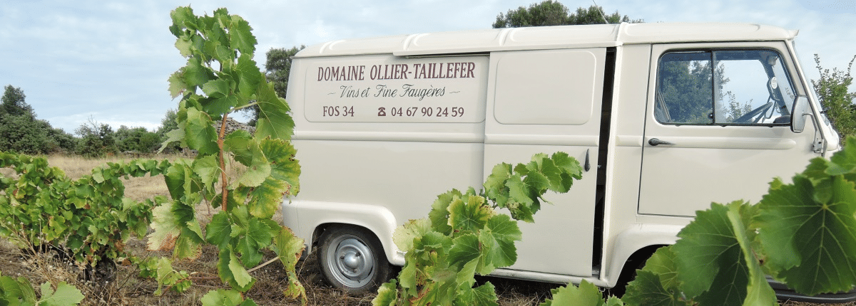 Domaine Ollier Taillefer