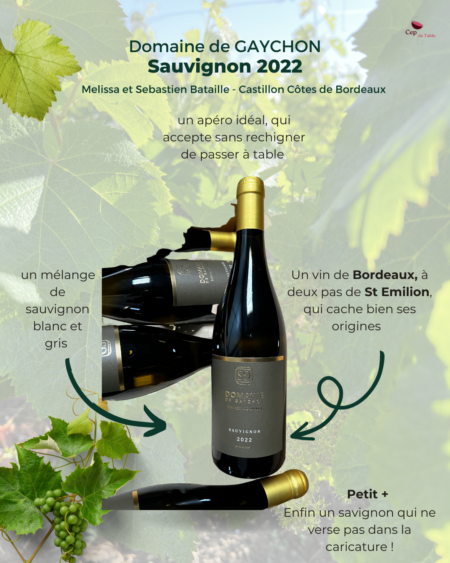 Domaine de GAYCHON Sauvignon 2022