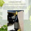 Domaine de GAYCHON Sauvignon 2022