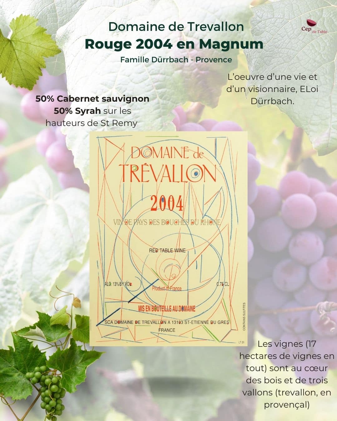 Domaine de TREVALLON rouge 2004 en Magnum