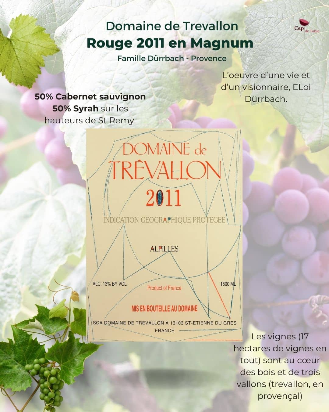 Domaine de TREVALLON rouge 2011 en Magnum