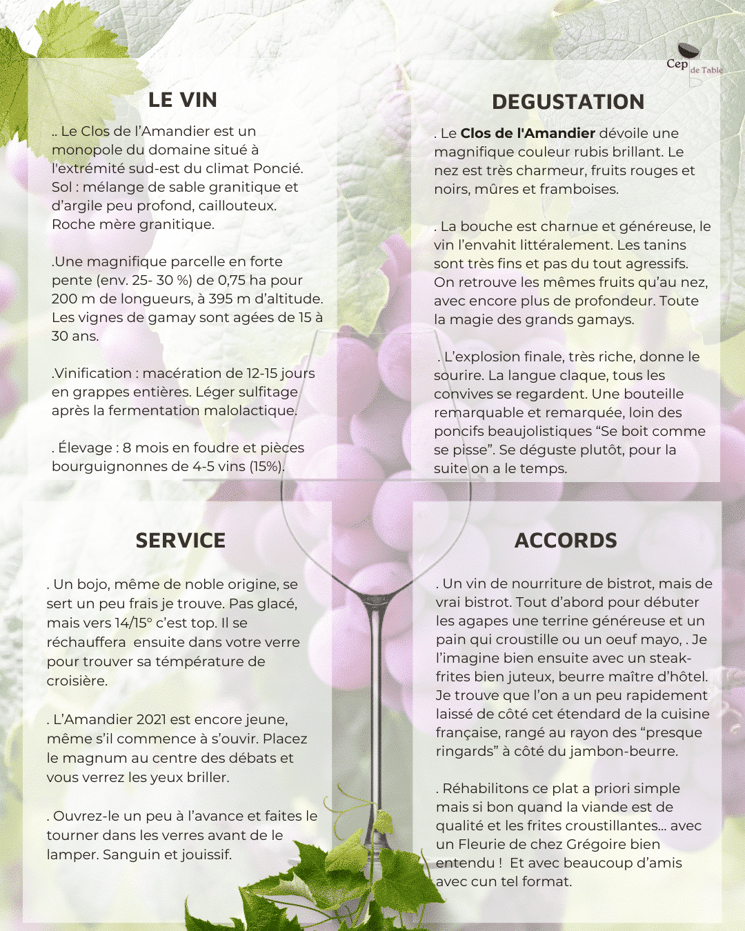 Gregoire Hoppenot Fleurie Clos de l'Amandier 2022 MAGNUM