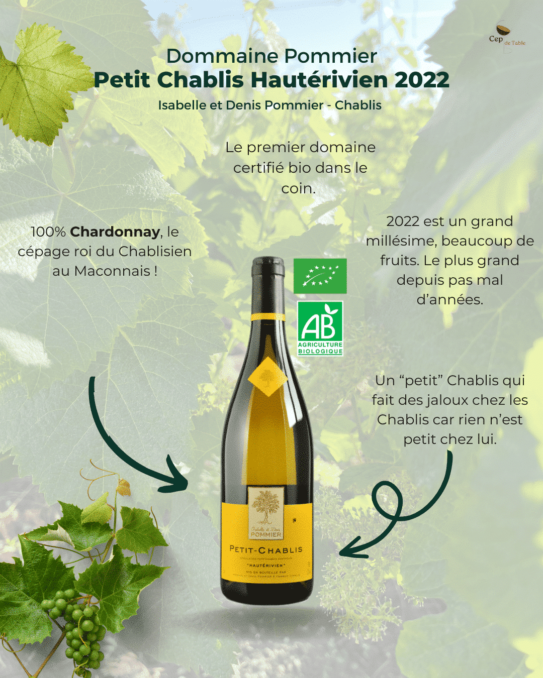 箱入り Chablis 2018 & Vins de France 2022 Chablis 2023 D. Sébastien Christophe | La Cave des Sommeliers
