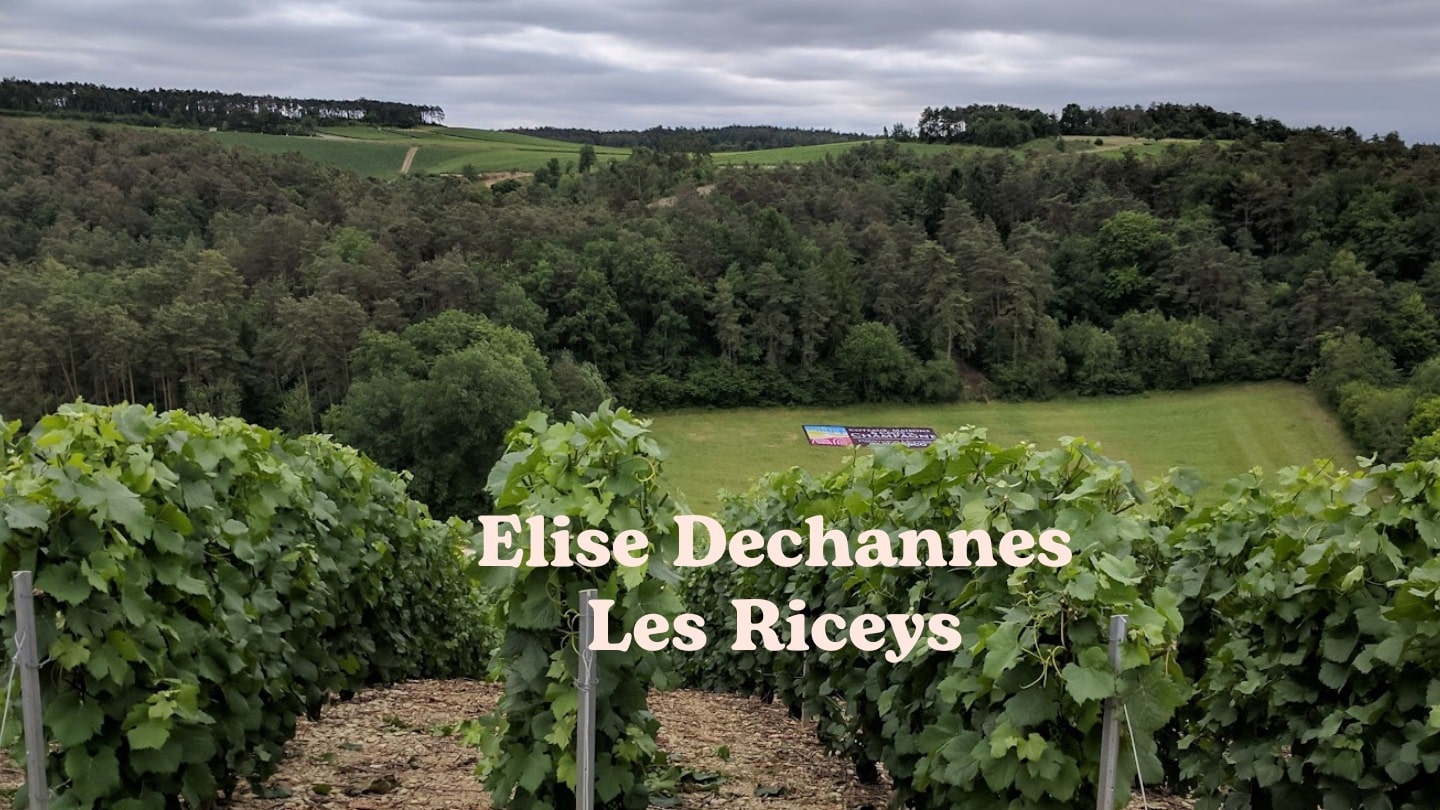 Elise Dechannes