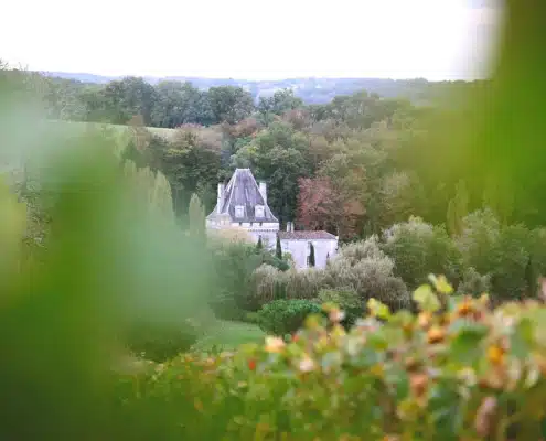 Chateau L'Isle Fort