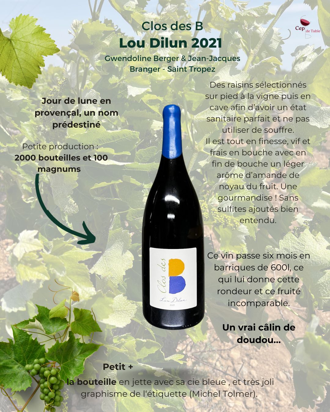 Clos des B Lou Dilun 2021