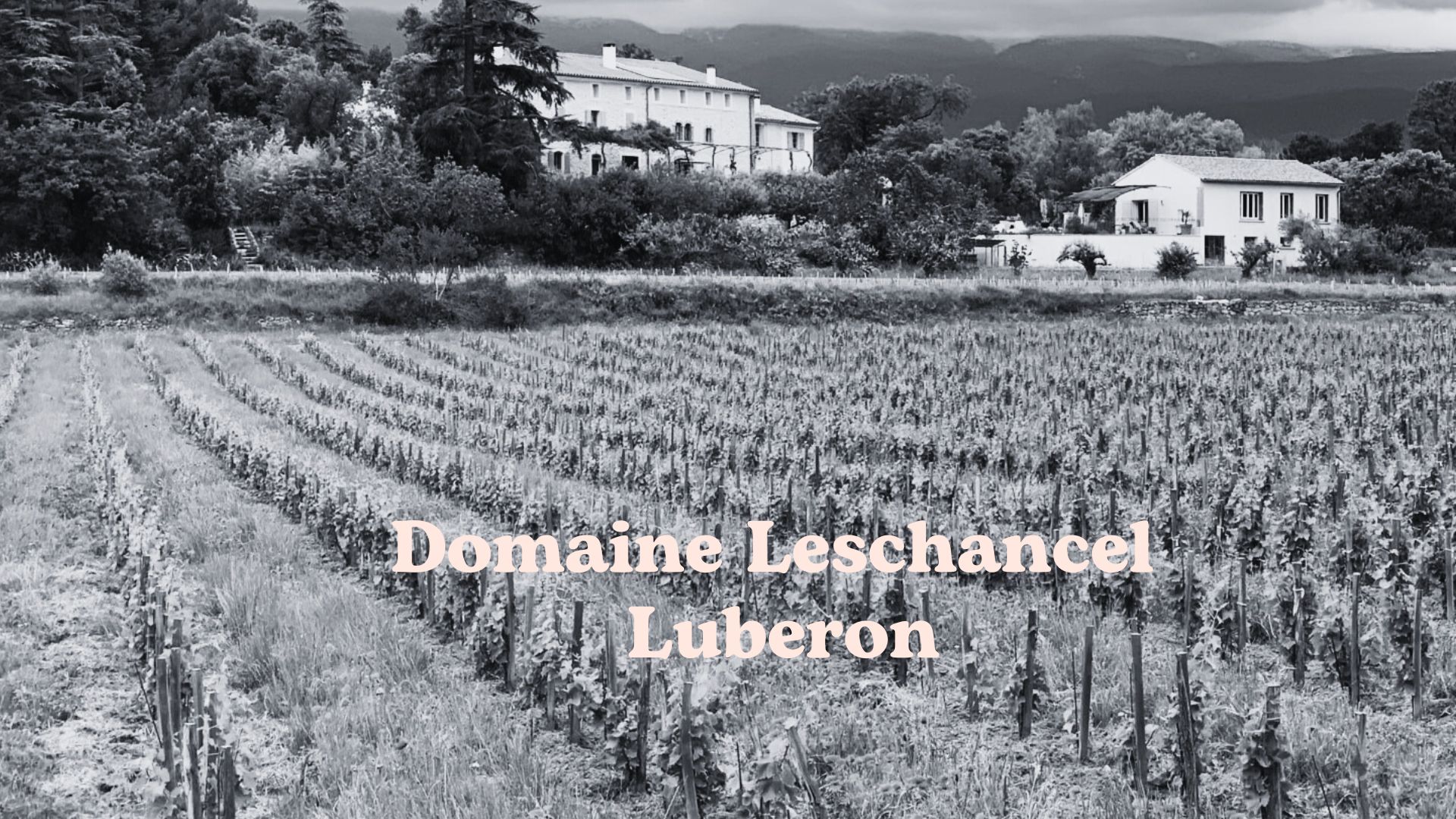 Domaine Leschancel