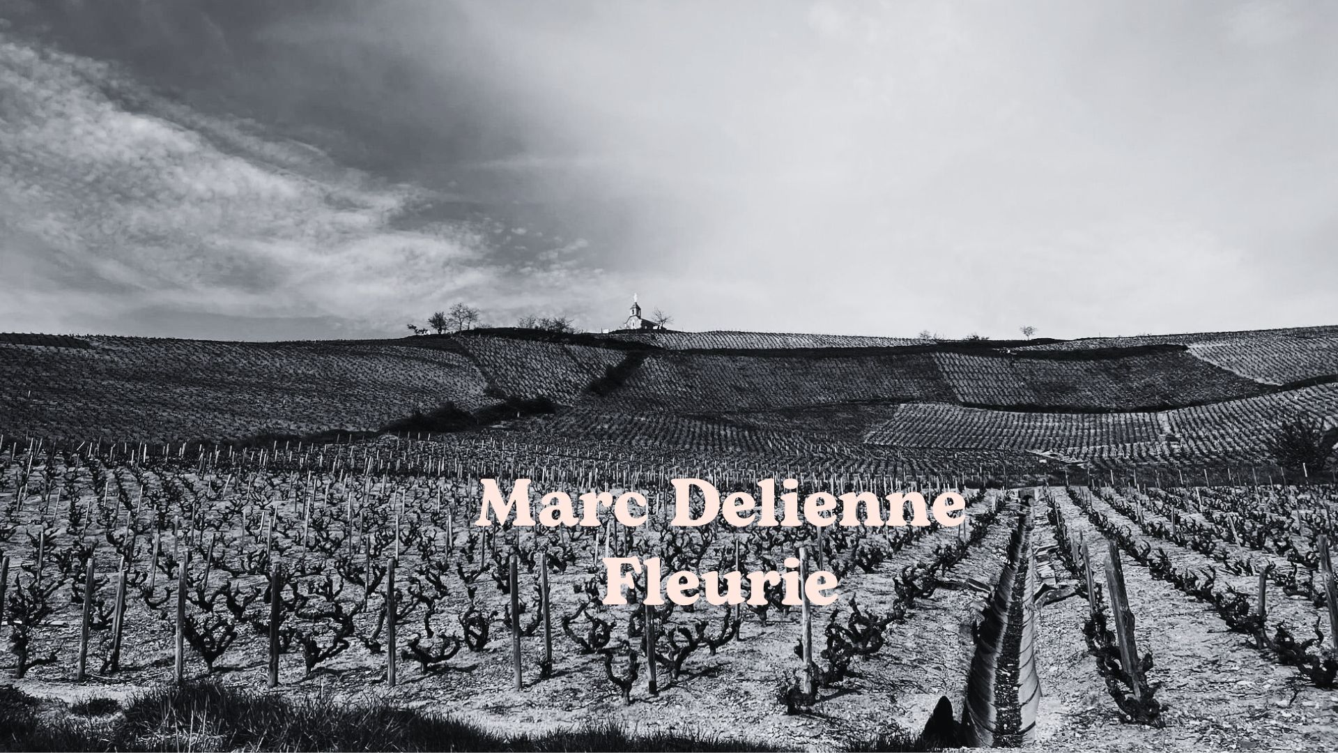 Marc Delienne
