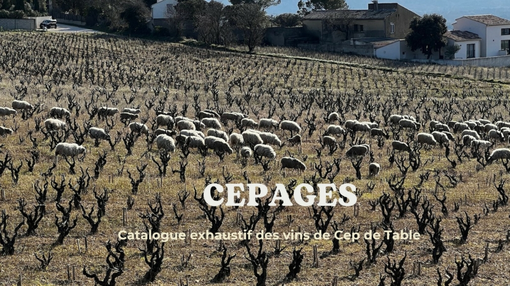 Catalogue de Cep