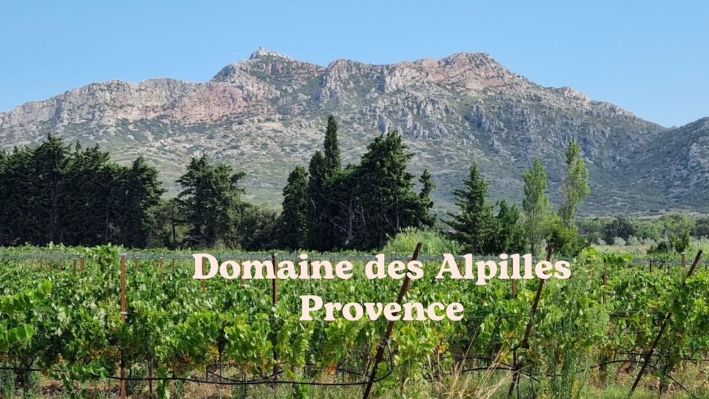 Domaines des Alpilles