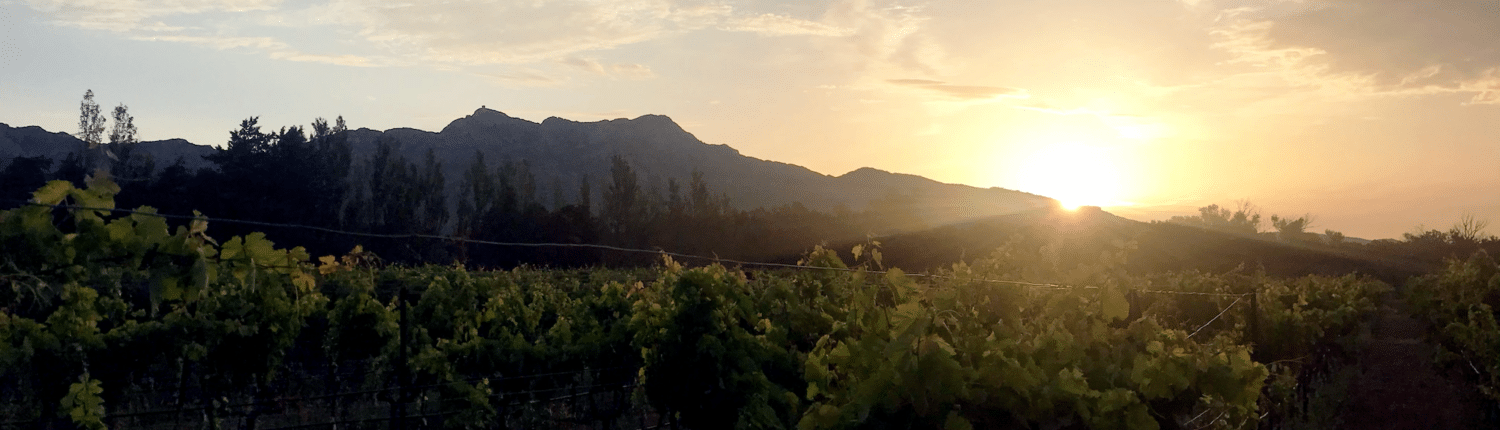 domaine des Alpilles