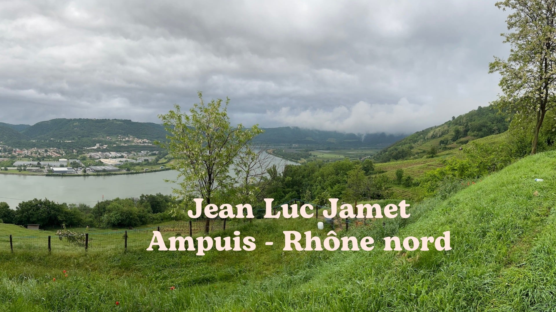 Jean Luc Jamet Côte Rôtie