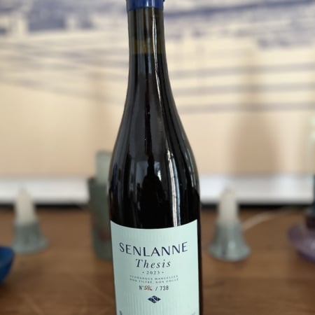 Domaine SENLANNE thesis 2023