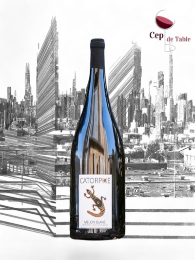 ROMAIN PETITEAU CATORPÉE BLANC 2019 EN MAGNUM