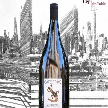 ROMAIN PETITEAU CATORPÉE BLANC 2019 EN MAGNUM