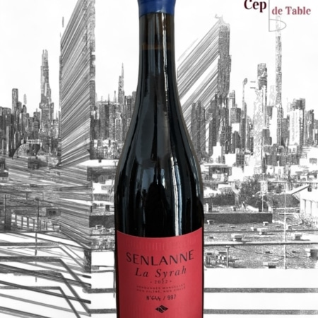 DOMAINE SENLANNE LA SYRAH 2022