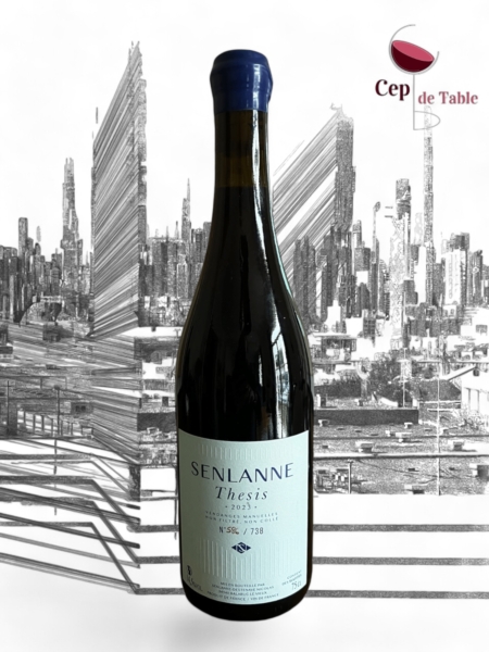 DOMAINE SENLANNE THÉSIS 2023