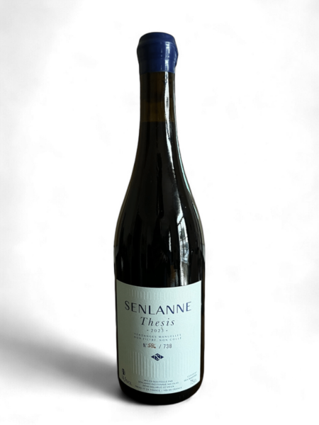 DOMAINE SENLANNE THÉSIS 2023