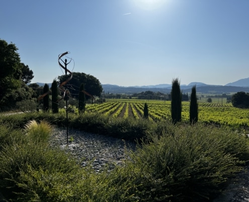 Domaine Laurens Le vignoble des Templiers