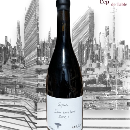 FONDUGUES PRADUGUES SYRAH JARRE SOUS TERRE 2021