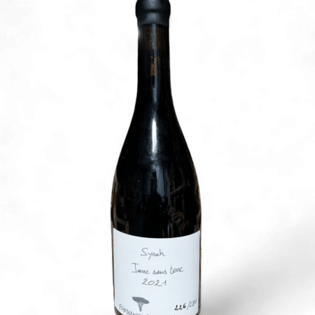 FONDUGUES PRADUGUES SYRAH JARRE SOUS TERRE 2021