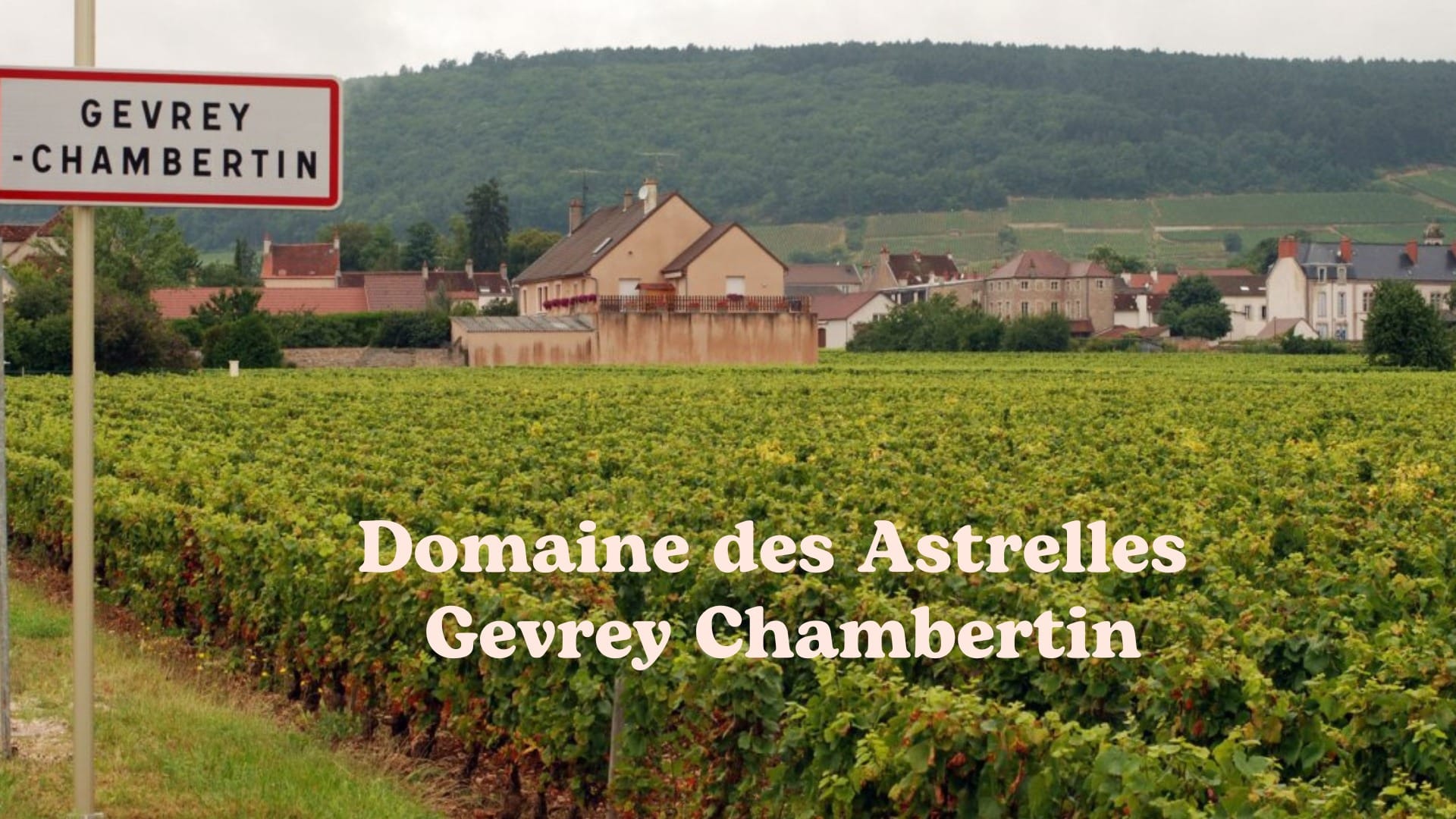 Domaine Les Astrelles