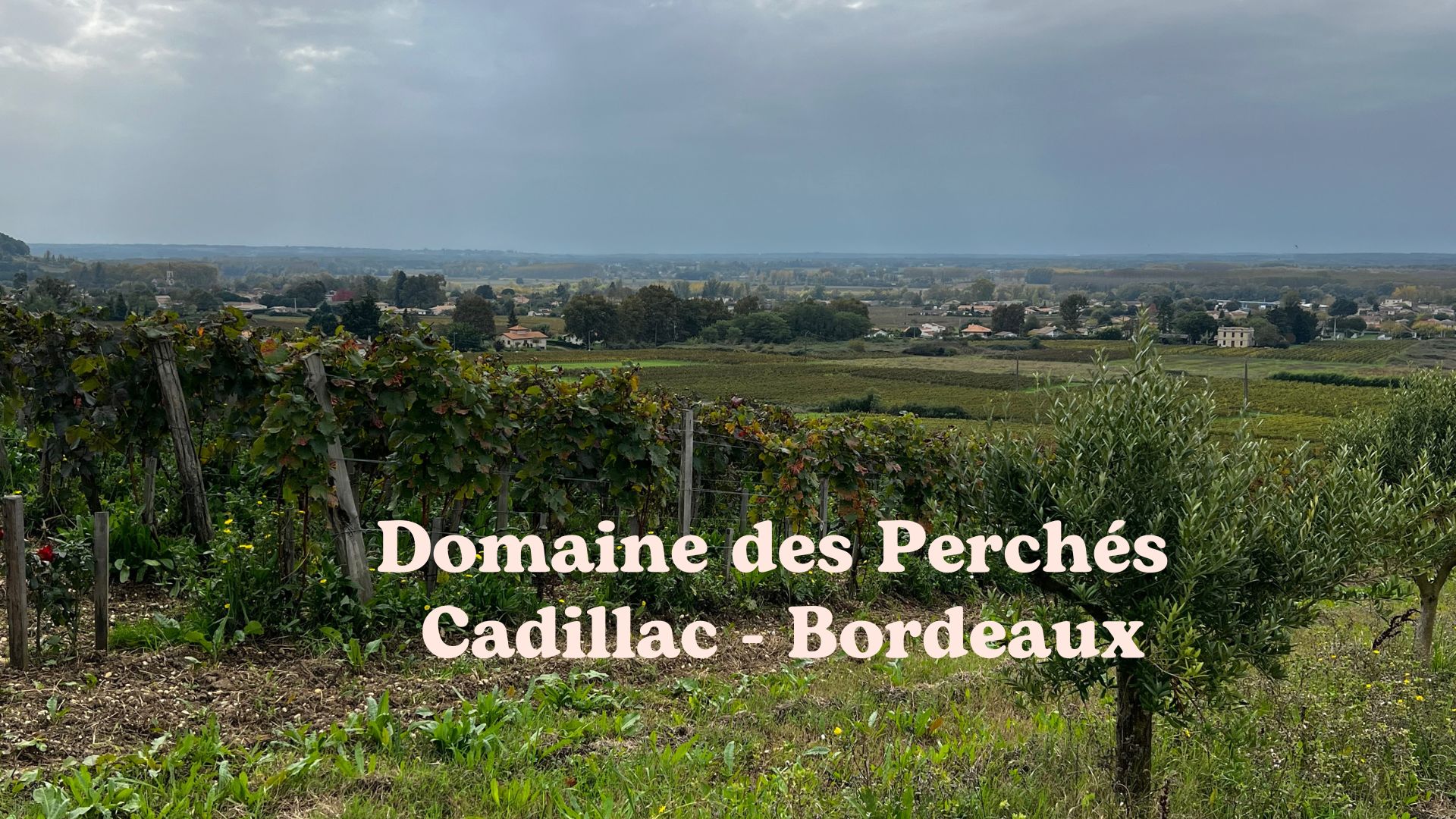 Domaines des Perchés