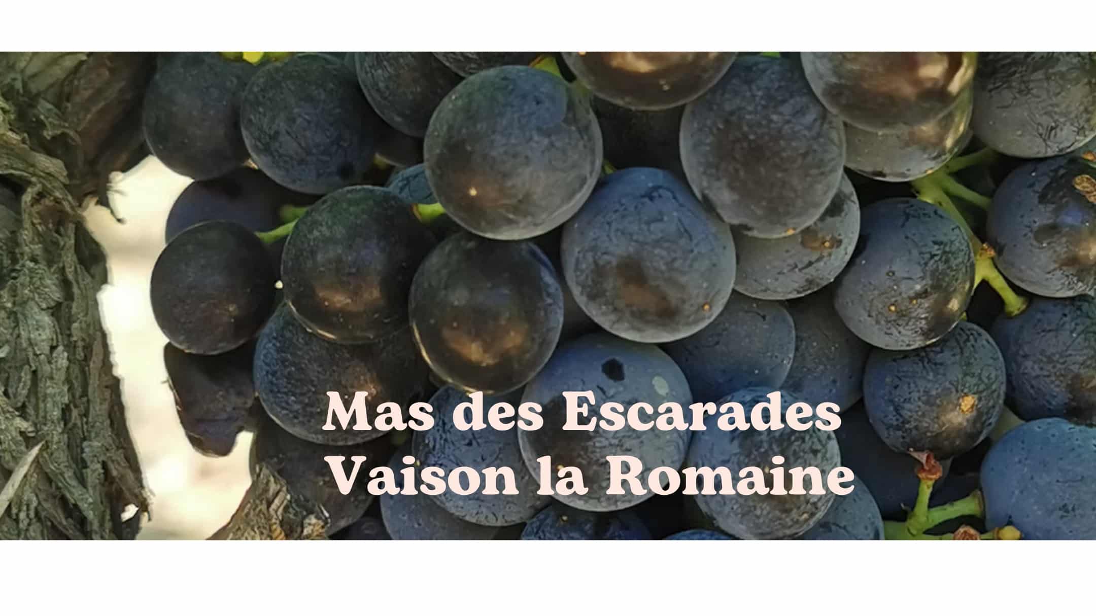 Mas des Escarades