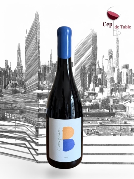 Clos des B Carignan 2023