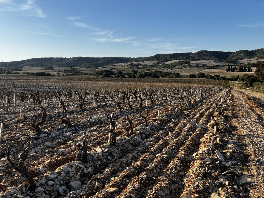 Clos de Jas