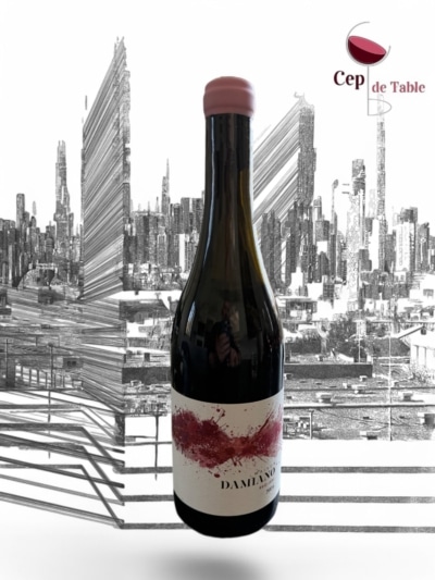 Maison Damiano Red Ish 2024