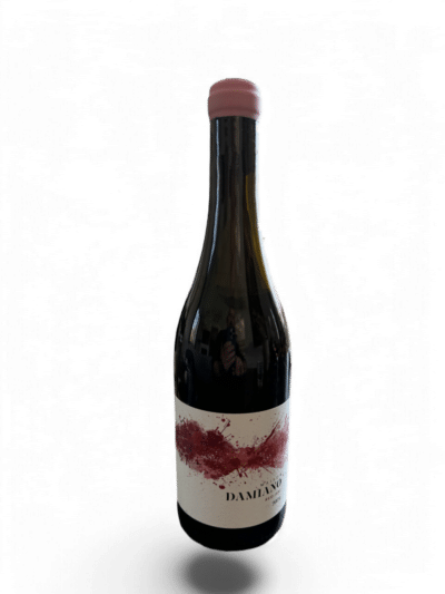 Maison Damiano Red Ish 2024