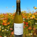 PAS DE L’ESCALETTE MAS ROUSSEAU BLANC 2022