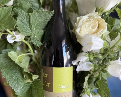 OLLIER TAILLEFER FAUGÈRES ALLEGRO 2023