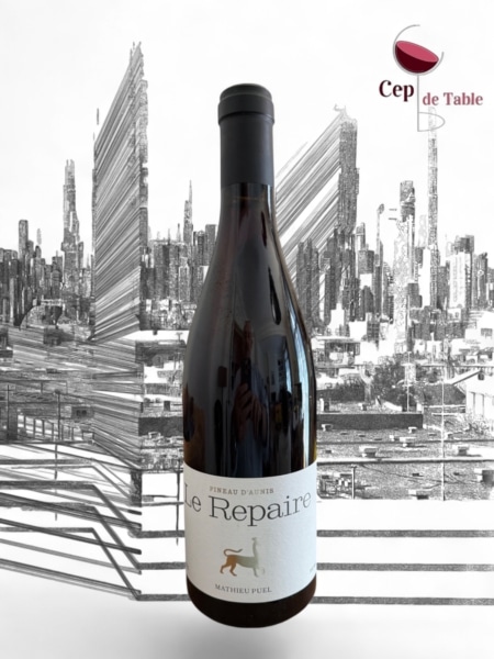 Repaire Mas Segur Pineau d'Aunis 2024