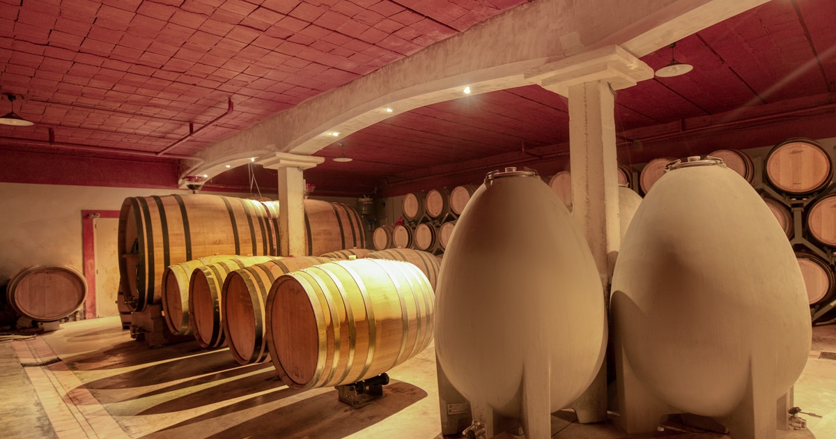 la cave de Chante Cigale