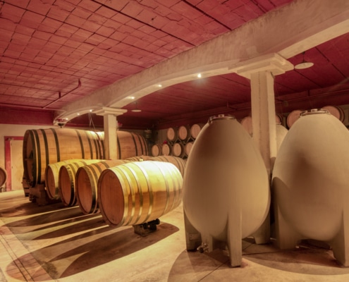 la cave de Chante Cigale