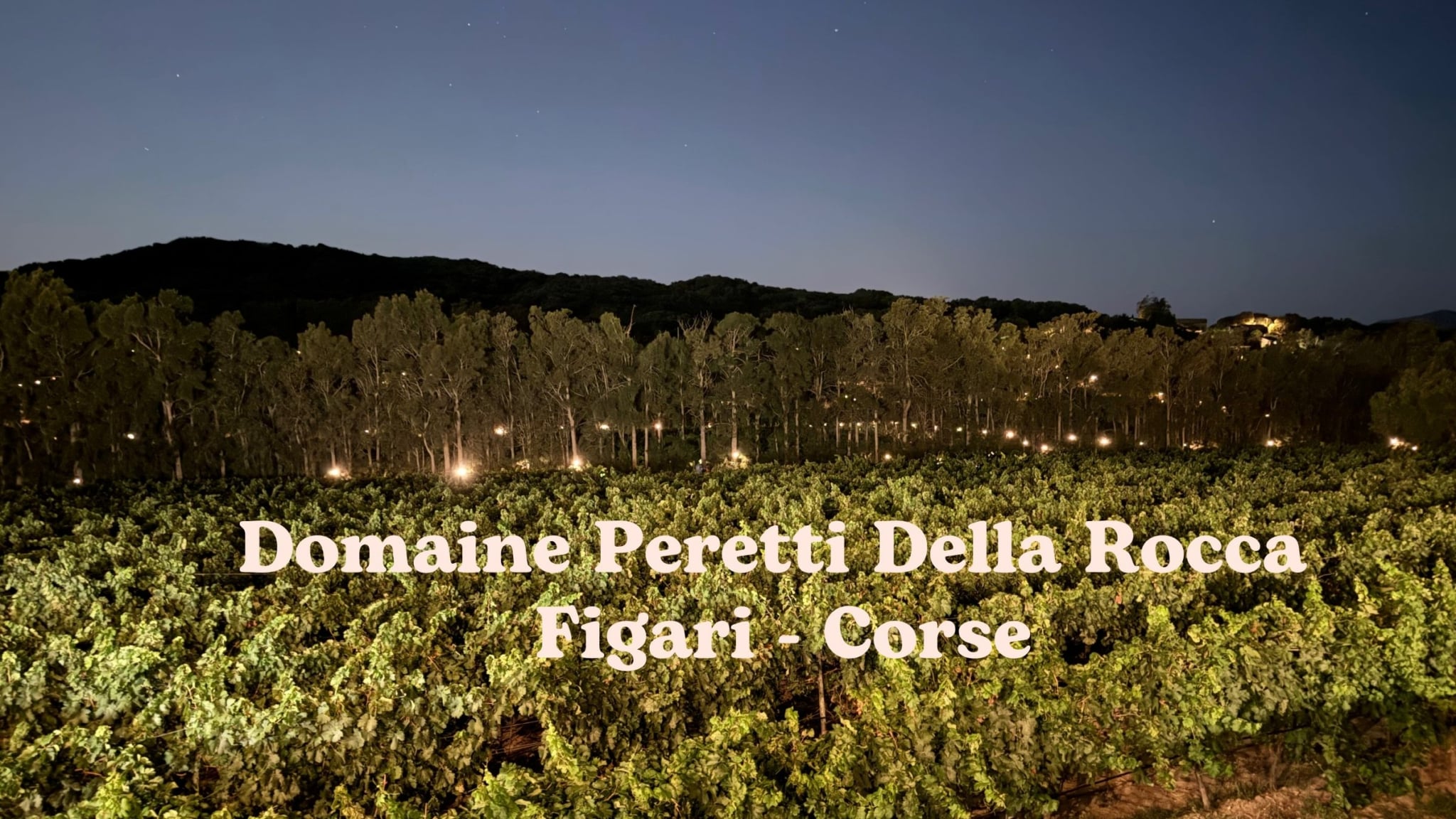 Domaine Peretti Della Rocca