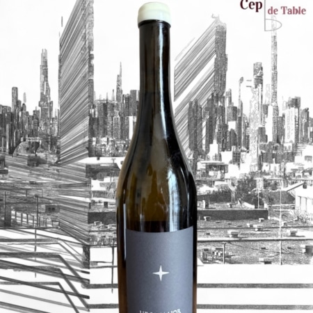 LA GRANDE OURSE URSA MAJOR BLANC 2023