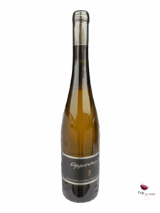 Anthony-Plissoneau-Condrieu-Opportunite-2022