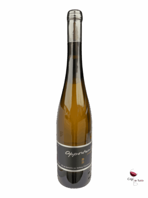 Anthony-Plissoneau-Condrieu-Opportunite-2022