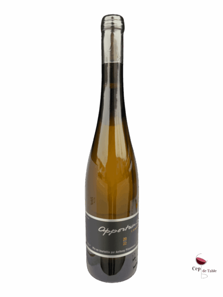 Anthony-Plissoneau-Condrieu-Opportunite-2022