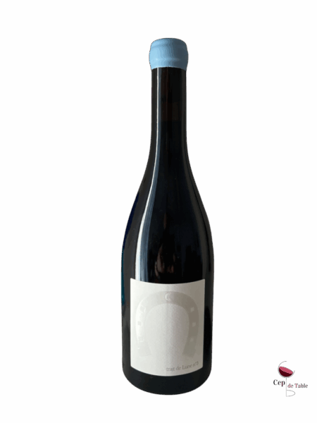 CHATEAU CASTIGNO TRAIT DE LUNE N° 3