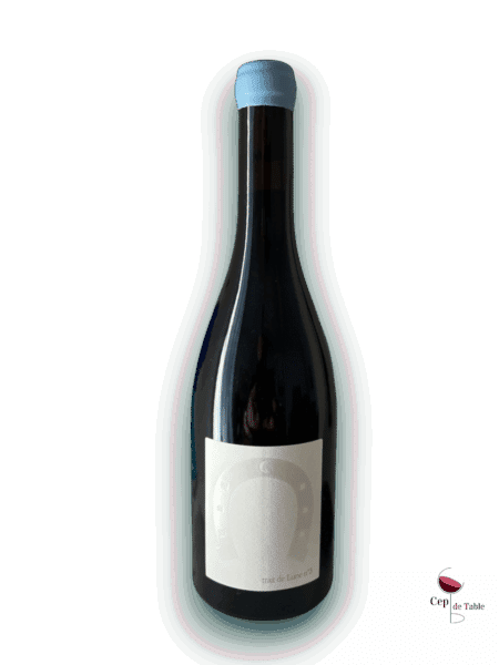 CHATEAU CASTIGNO TRAIT DE LUNE N° 3