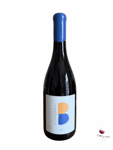 Clos-des-B-Carignan-2023