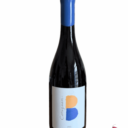 Clos-des-B-Carignan-2023