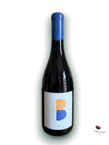 Clos-des-B-Carignan-2023
